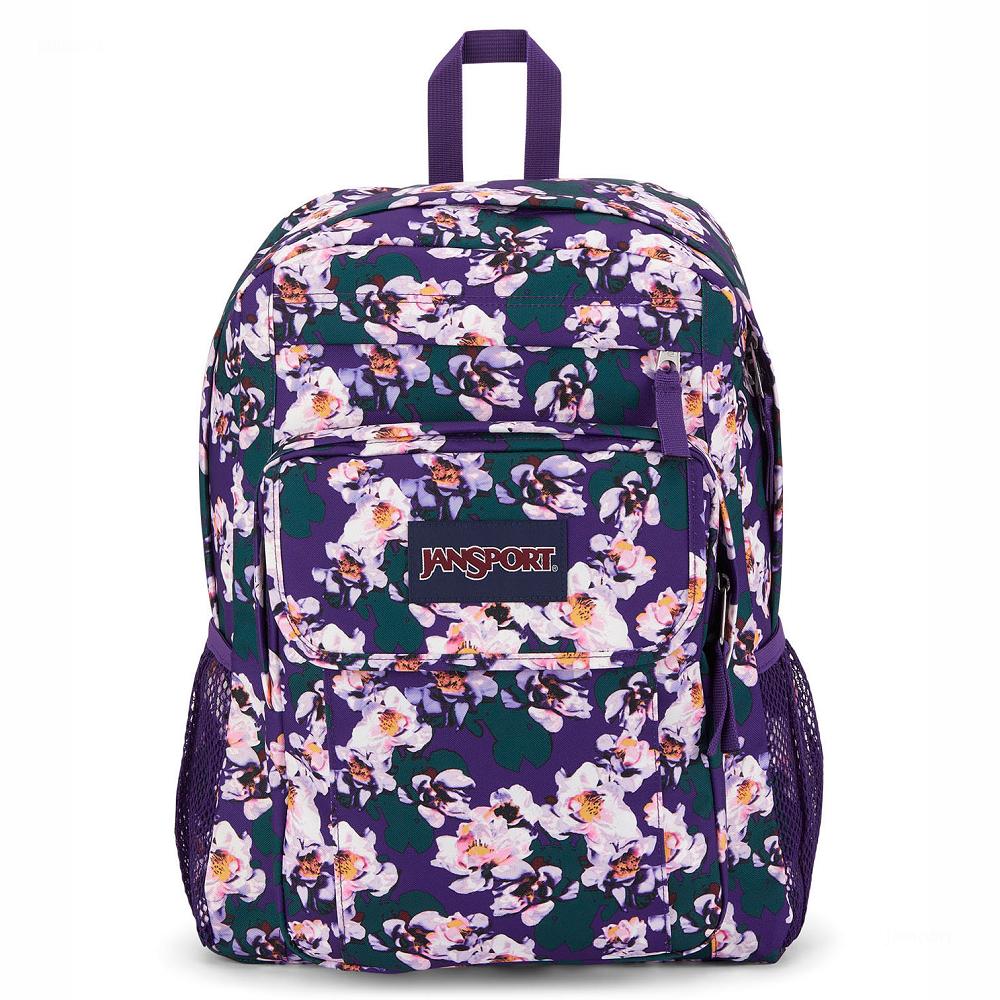 Sac à Dos Ordinateur JanSport UNION PACK Violette | WBL-93711274